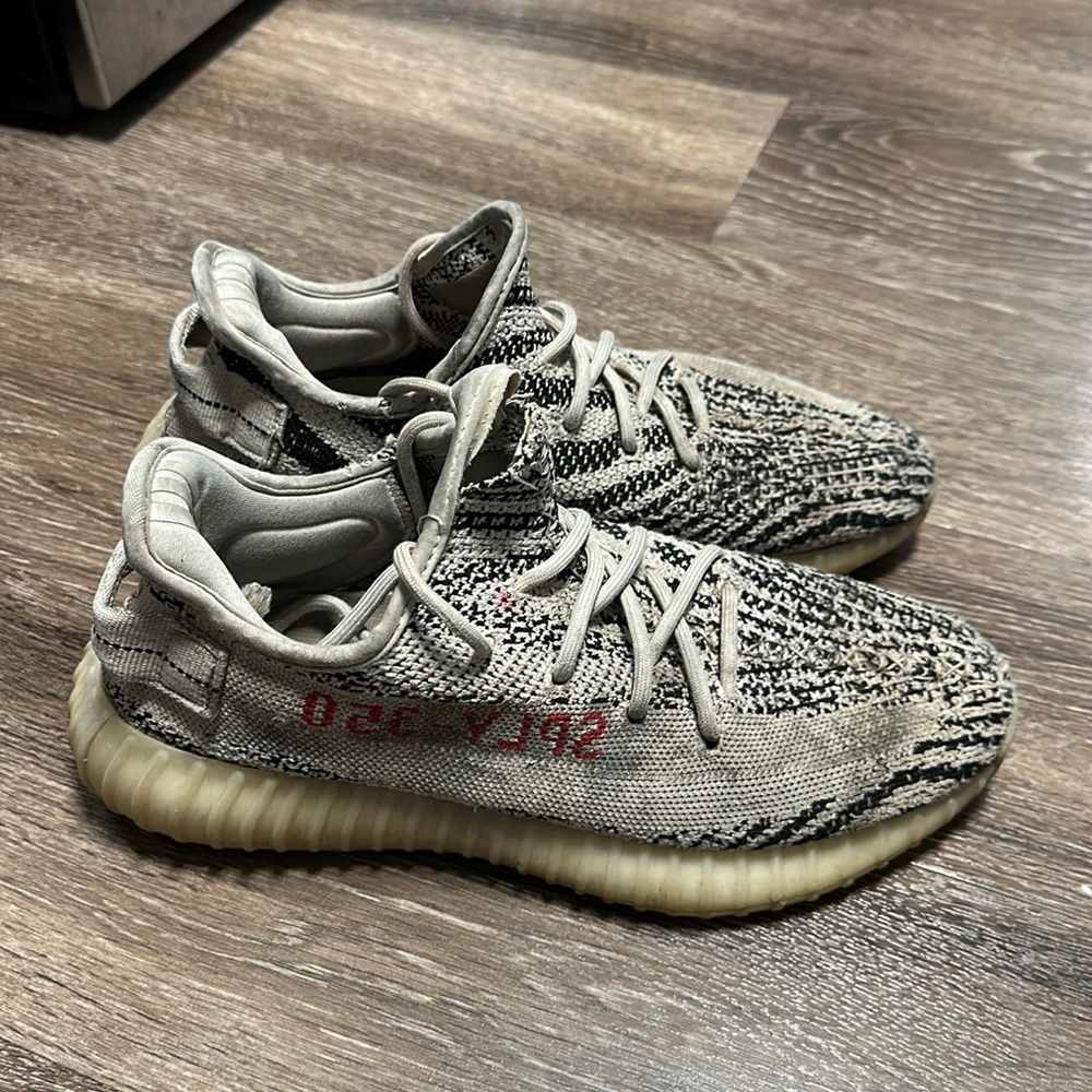 Adidas Yeezy boost 350 shoe